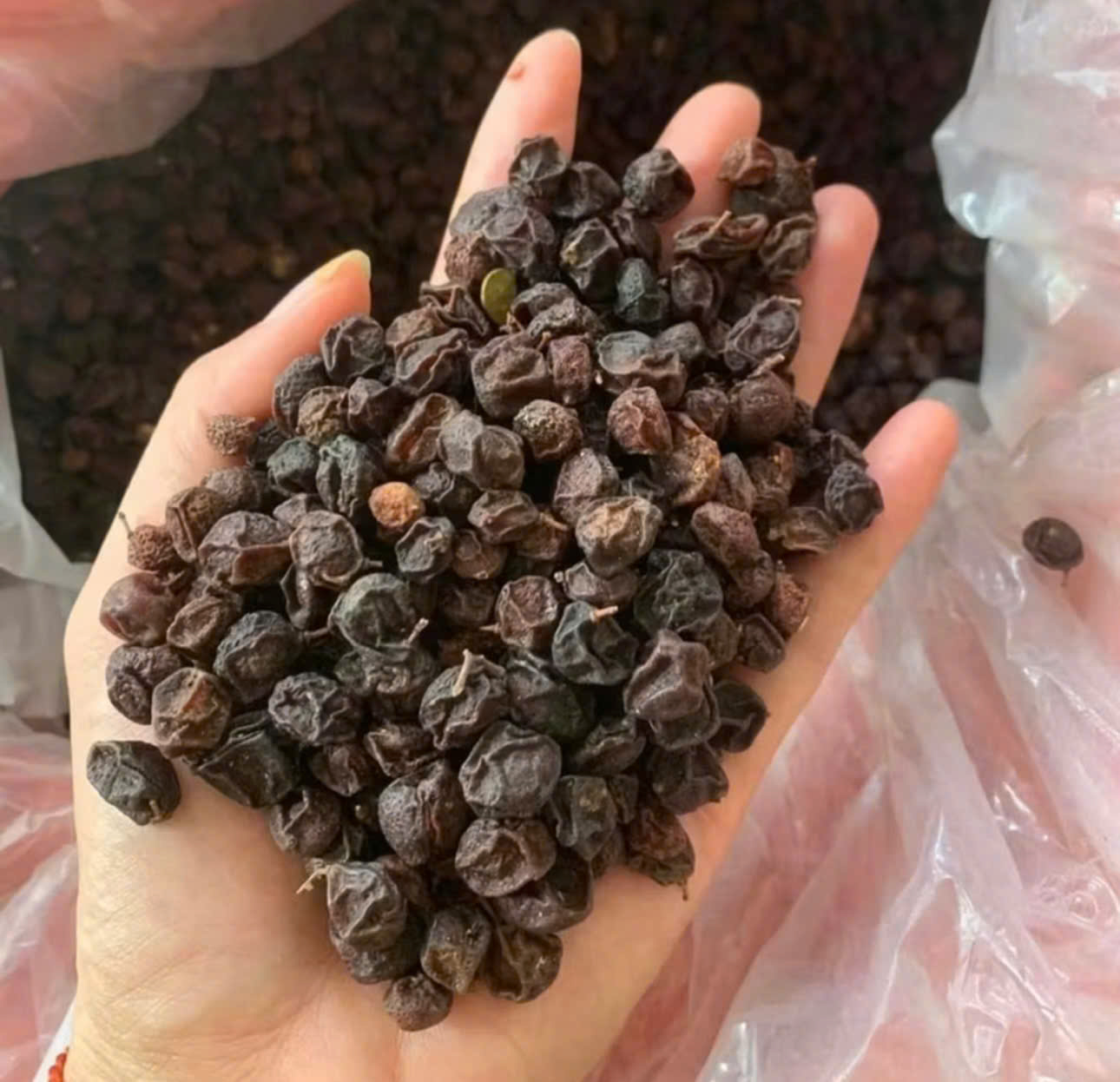 Quả mắc mật (móc mật)